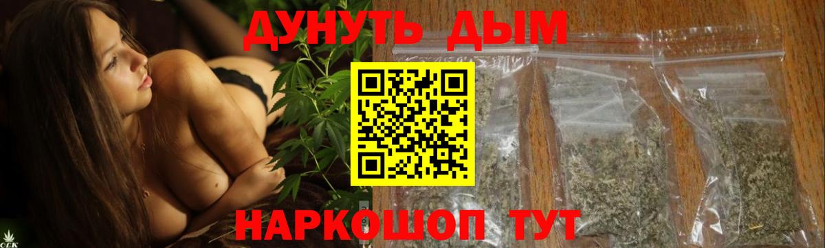 Конопля планчик Искитим